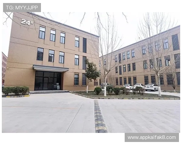 凯发集团下载官网网址查询常见问题及解决方案全方位指导