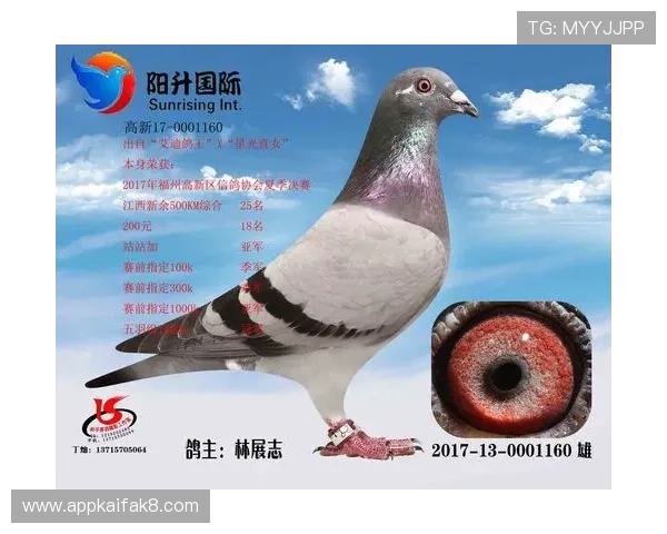 确保安全登录就选AG国际手机官方地址，享受高品质的线上游戏体验