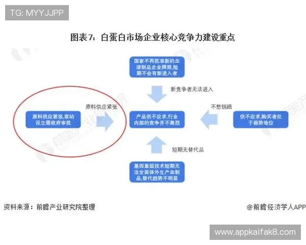 K8 国际游戏行业竞争格局变化,分析主要竞争者的市场布局与发展策略 K8 国际游戏行业竞争格局变化,分析主要竞争者的市场布局与发展策略